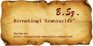 Birnstingl Szaniszló névjegykártya
